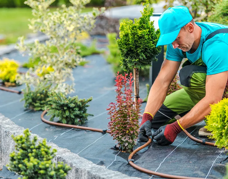 Sprinkler System Installation