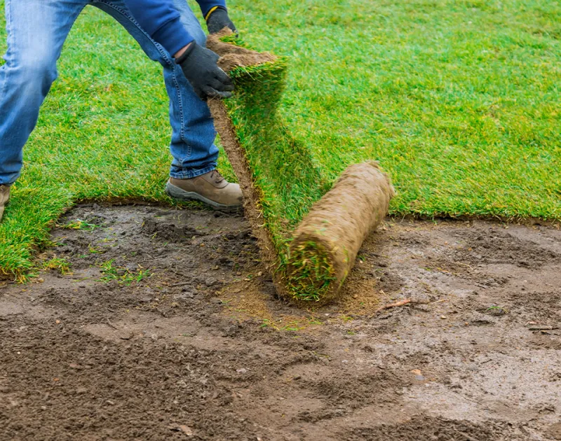 Landscaping Company